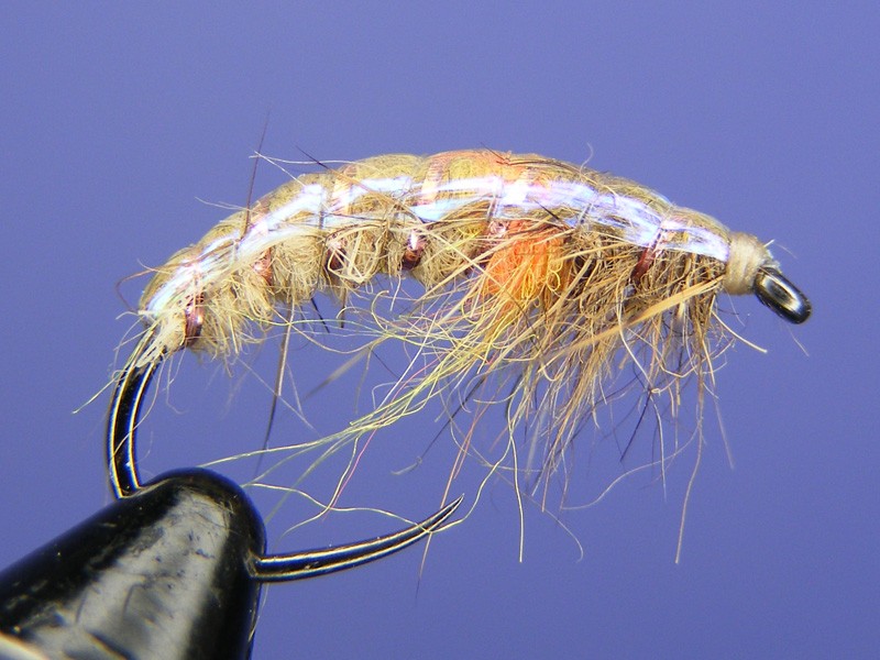 Czech Style Nymph czech nymph How to tie fly, Fly tying Step by